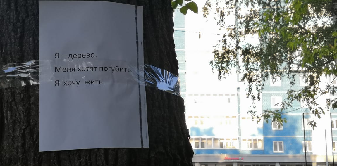 В Королёве повторяется история с Екатеринбургом