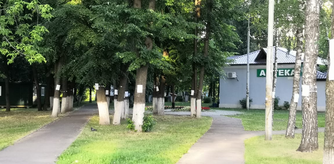 В Королёве повторяется история с Екатеринбургом