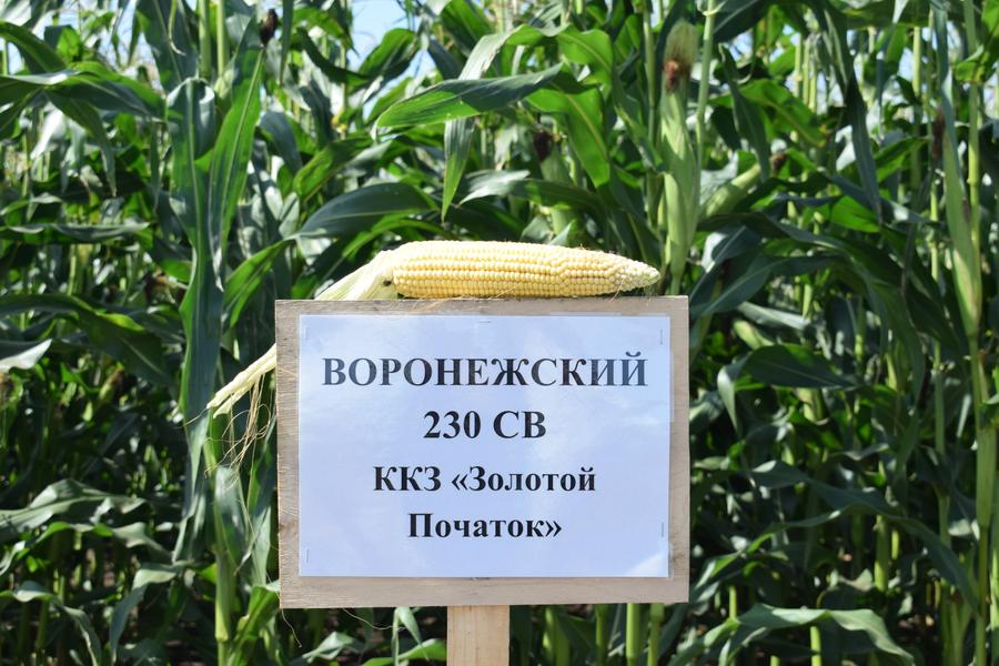 В битве за урожай