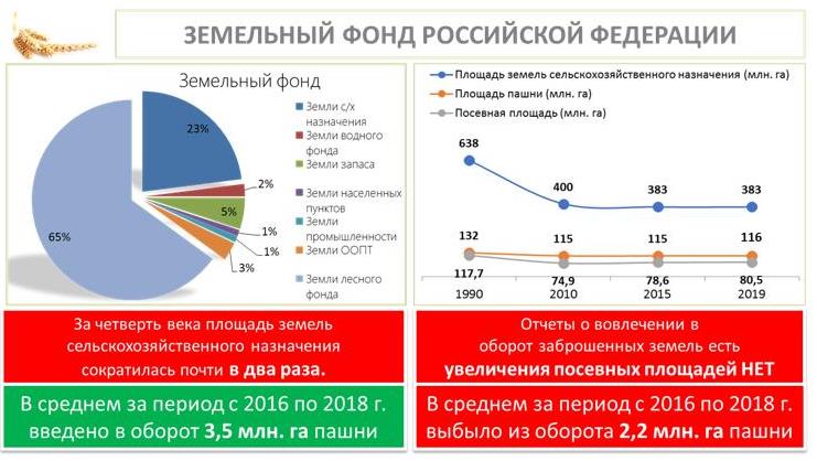 В.И. Кашин выступил на совместном заседании Комитета Госдумы по аграрным вопросам и коллегии Министерства сельского хозяйства России