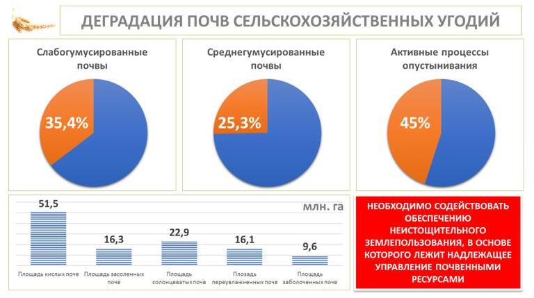 В.И. Кашин выступил на совместном заседании Комитета Госдумы по аграрным вопросам и коллегии Министерства сельского хозяйства России