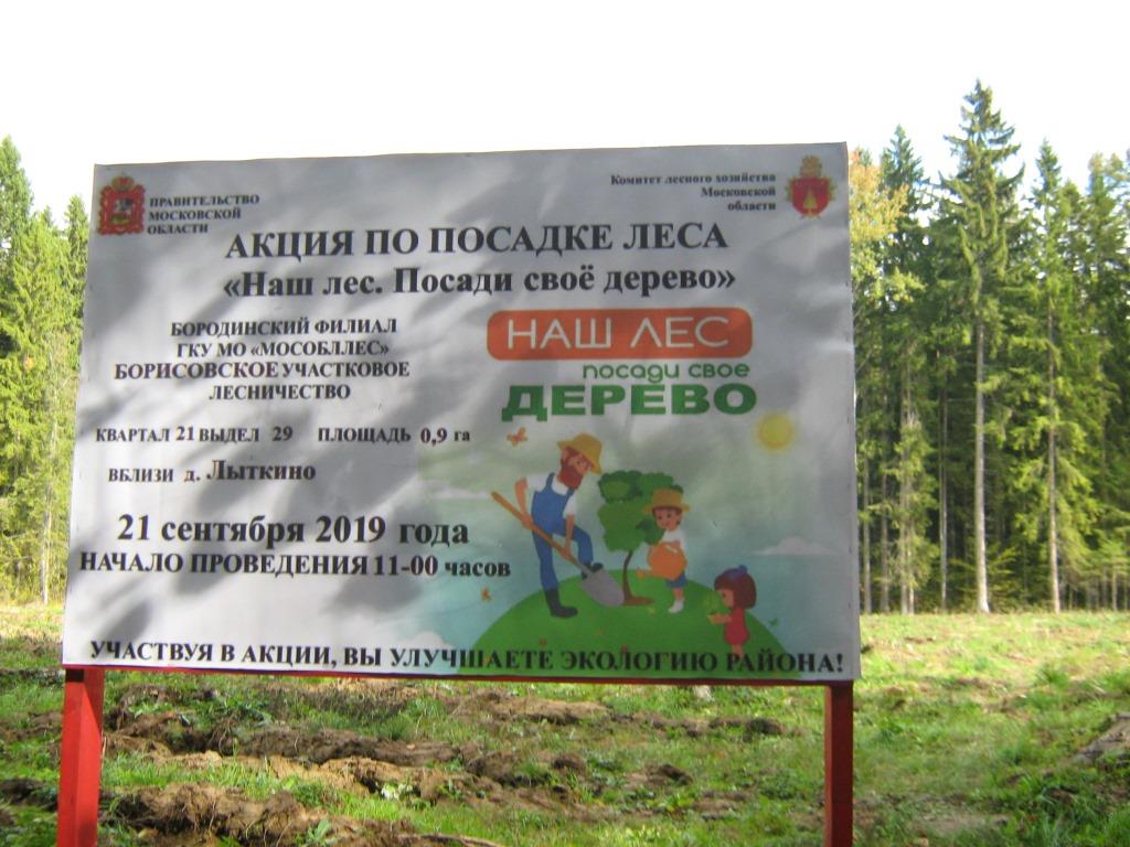 Акция «Создадим парки Победы по всей стране» в Можайске