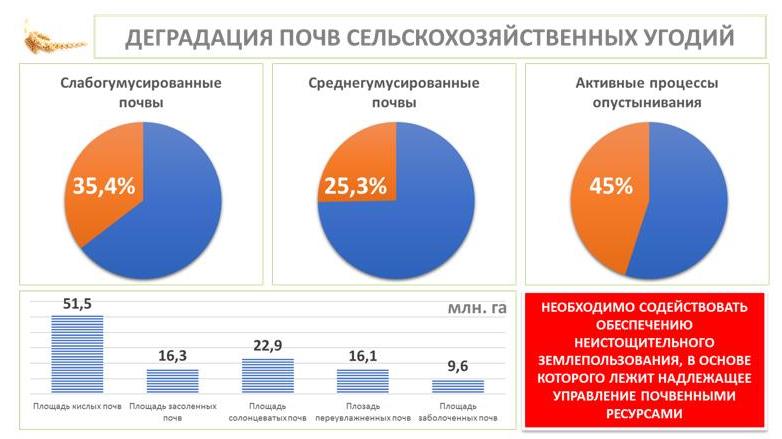 В.И. Кашин провел в Краснодарском крае выездное заседание Комитета Госдумы по аграрным вопросам