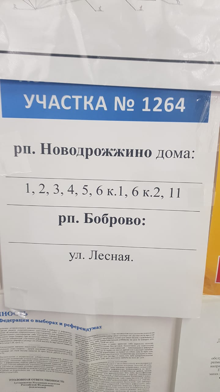 Ни часа без нарушений на выборах