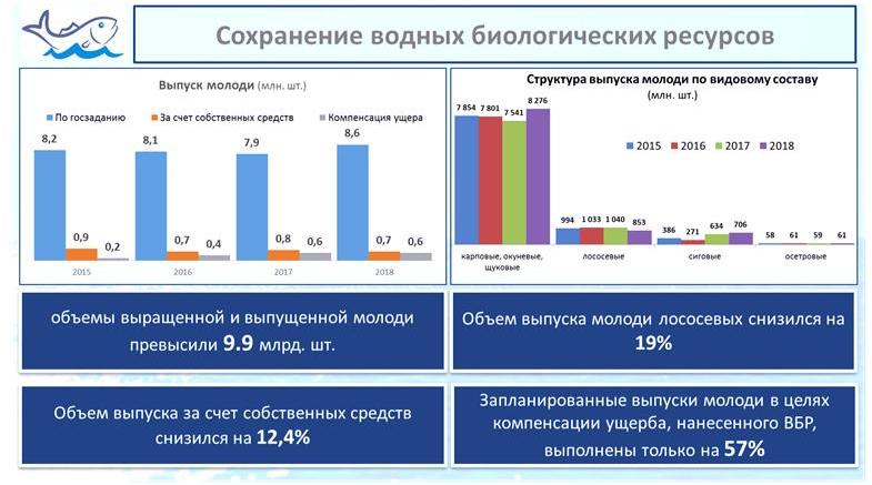 Выступление В.И. Кашина на научно-практической конференции по развитию рыбохозяйственного комплекса России
