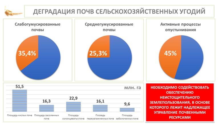 Доклад В.И. Кашина на Всероссийском агрономическом совещании