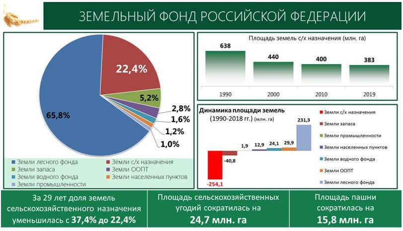 В.И. Кашин: Земле-Матушке – особое внимание