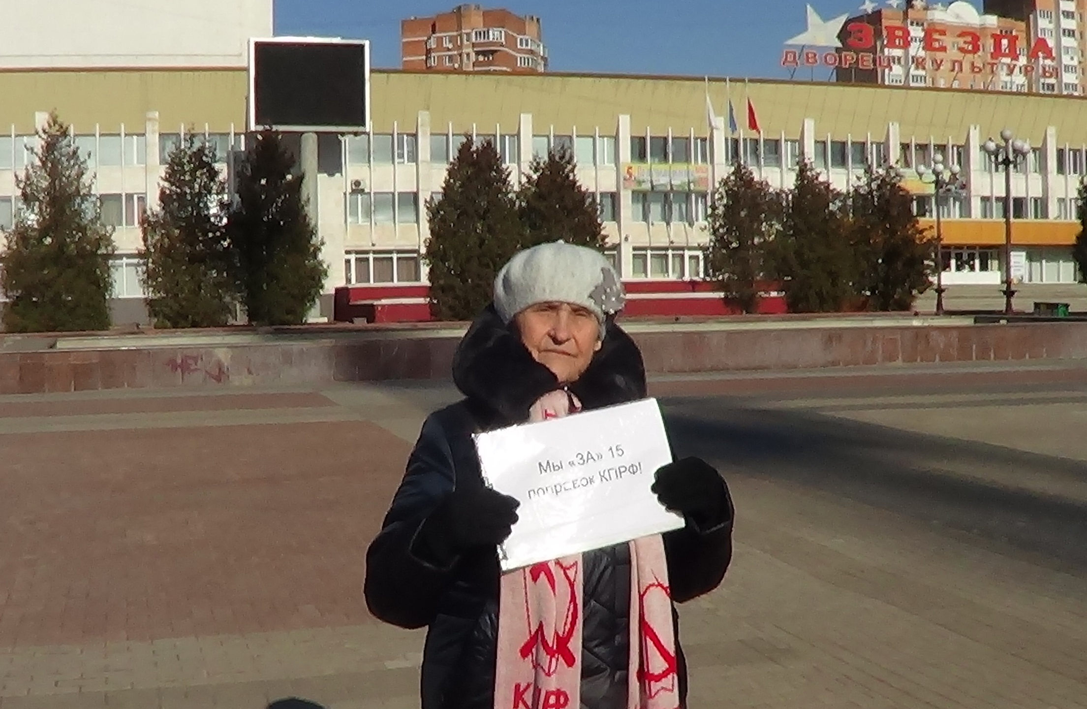Пикеты в Наро-Фоминске