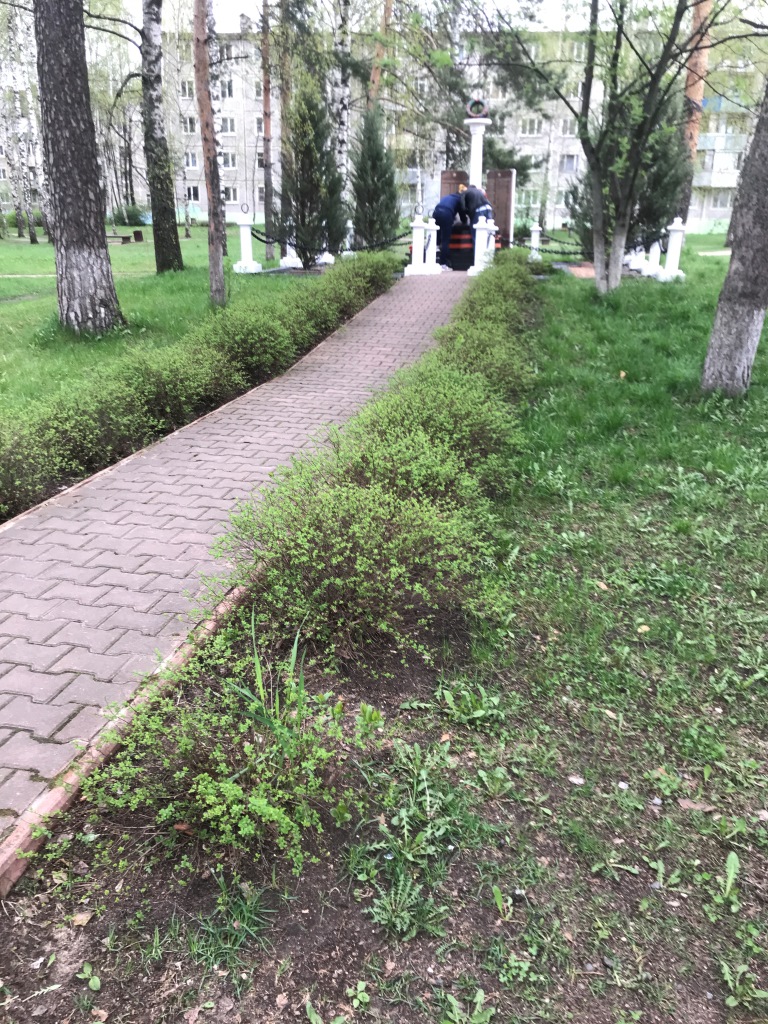 Не словом, а делом!
