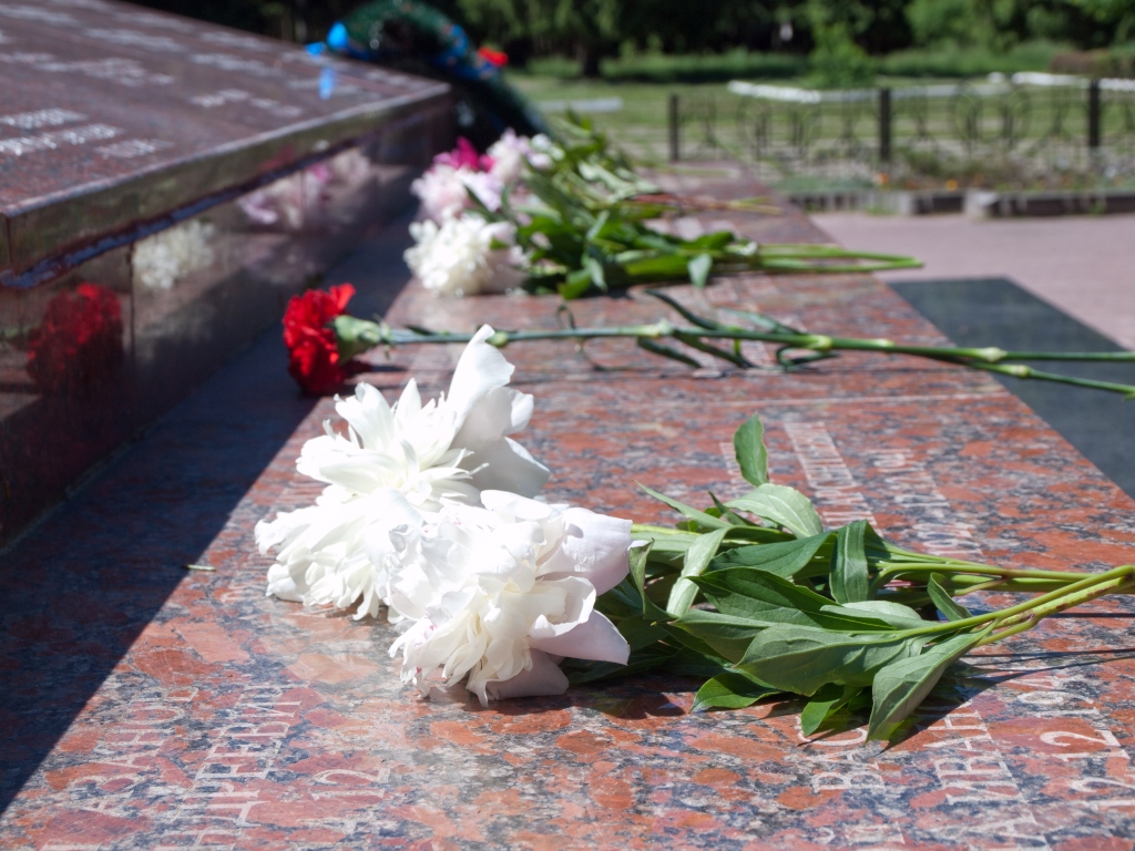 22 июня в Дубне