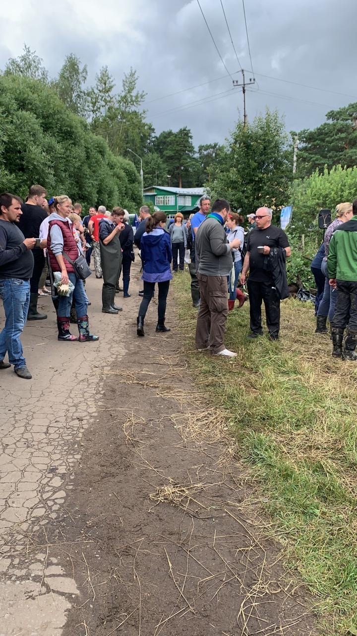Пушкинские коммунисты приняли участие в субботнике