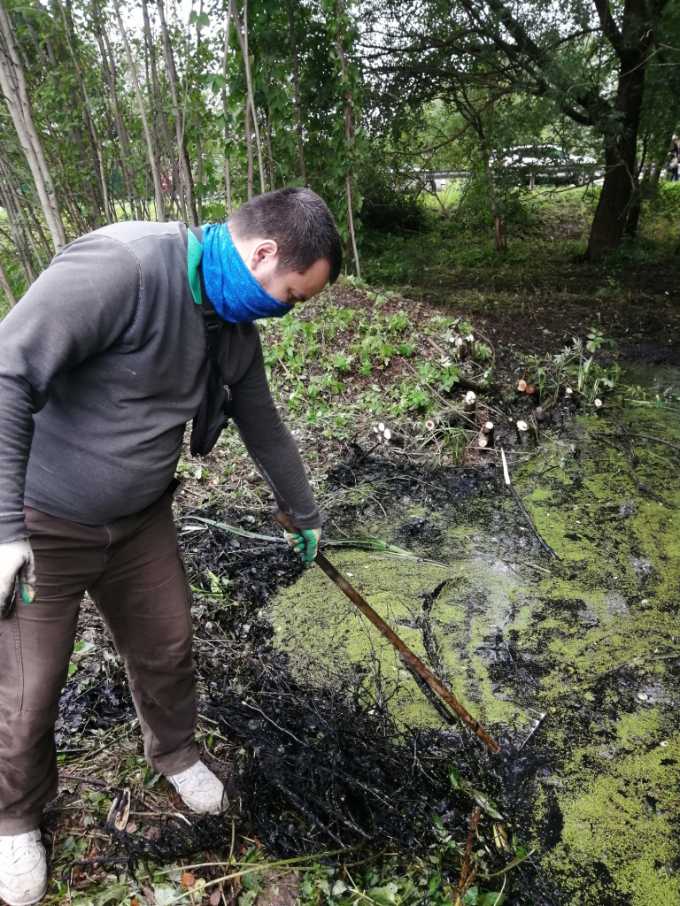 Пушкинские коммунисты приняли участие в субботнике