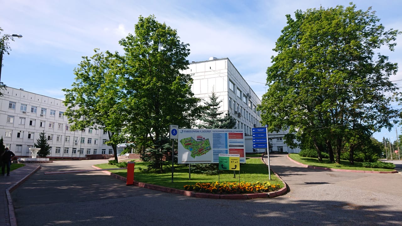 75 добрых дел - так начали год юбилея Победы в Лобне