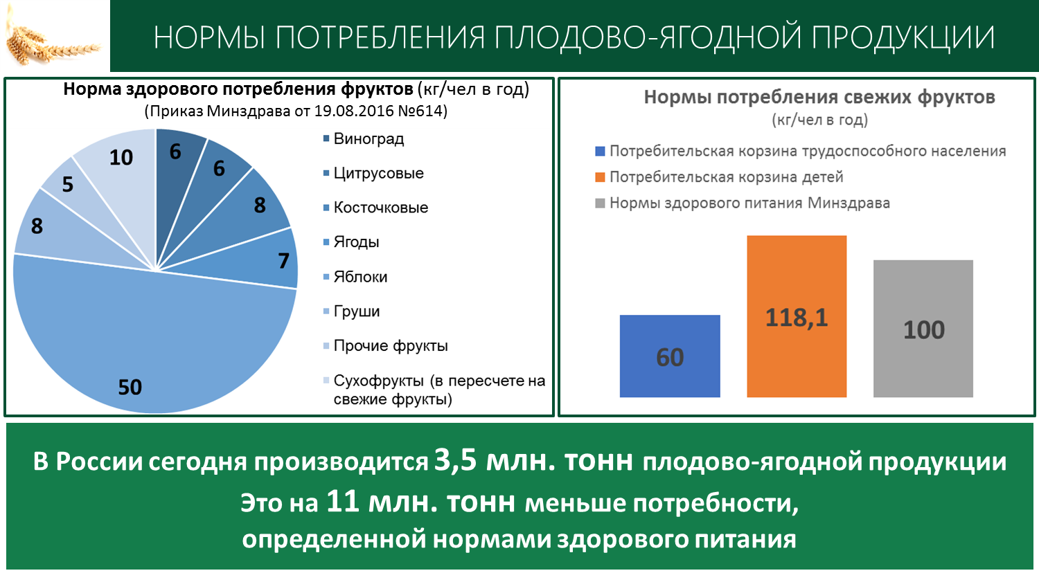 Доклад В.И. Кашина к Всероссийскому совещанию по развитию садоводства и питомниководства