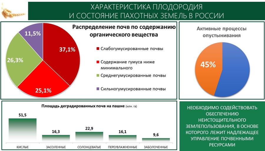 В.И. Кашин принял участие и выступил с докладом на Итоговой Коллегии Минсельхоза России