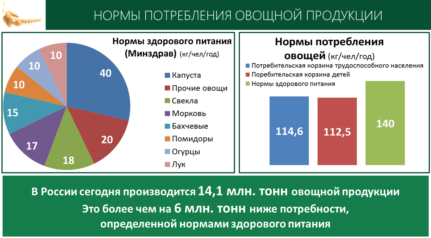 Доклад В.И. Кашина на международной научно-практической конференции, посвященной 100-летию со дня основания ВНИИССОК