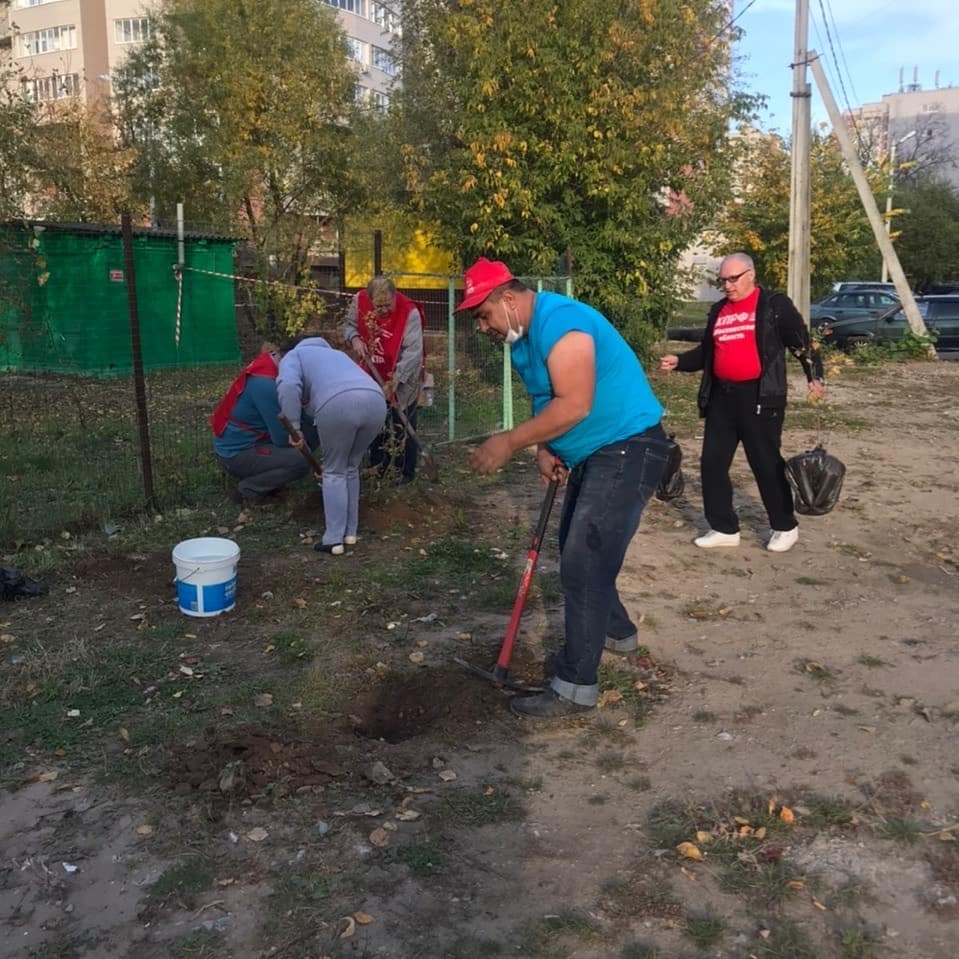 Акция «Наш лес. Посади свое дерево»