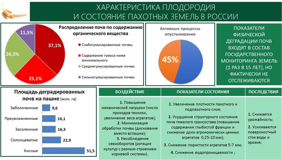 Содоклад В.И. Кашина на «Правительственном часе» в Государственной Думе