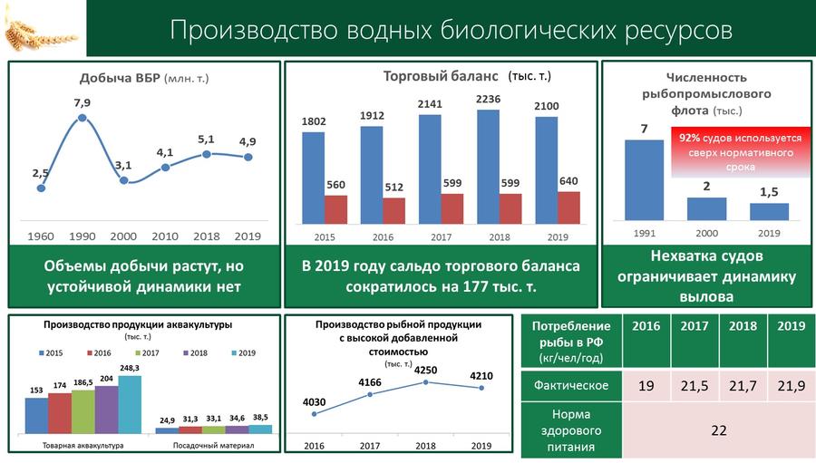 Содоклад В.И. Кашина на «Правительственном часе» в Государственной Думе