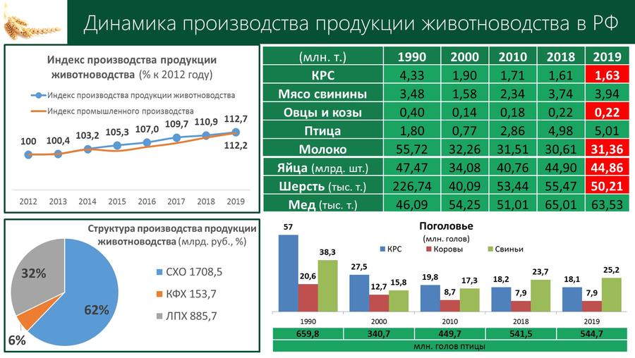 Содоклад В.И. Кашина на «Правительственном часе» в Государственной Думе