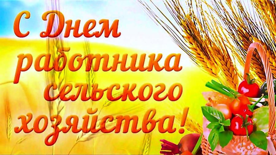 В.И. Кашин: С Днём работника сельского хозяйства!