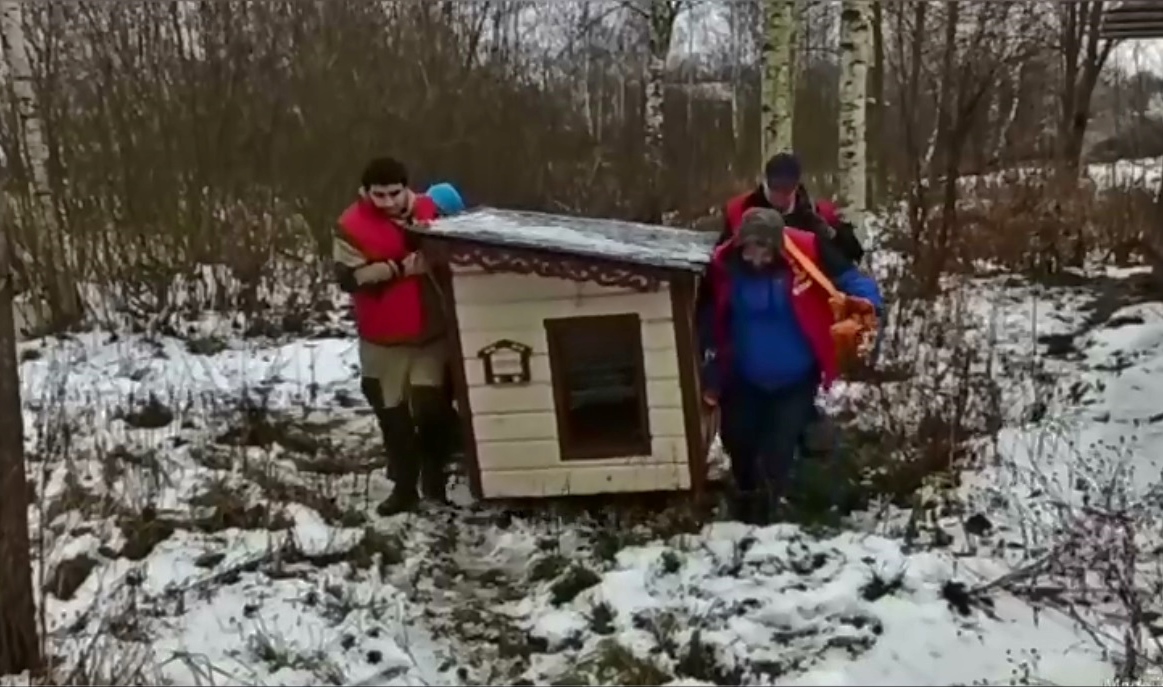 Не оставить в беде
