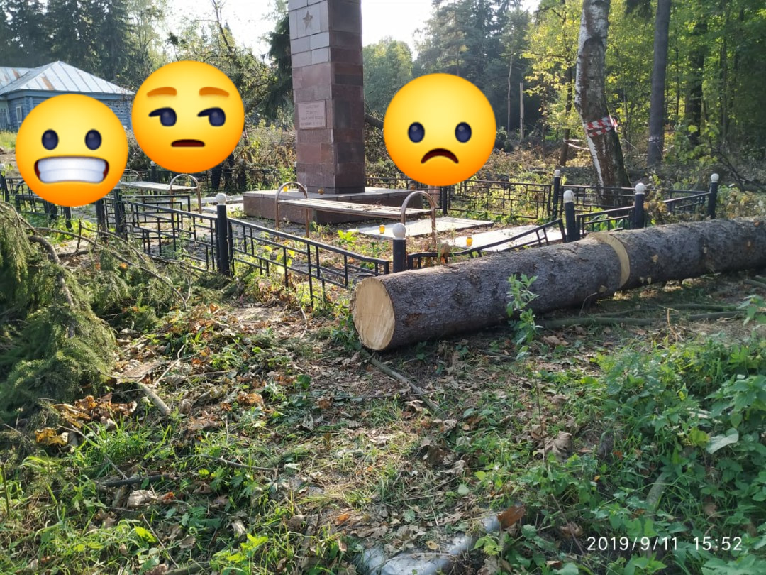 Обрезанная память в Химках