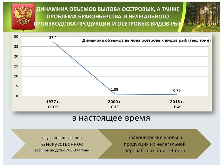 Особо охраняемые территории – уголки нетронутой природы