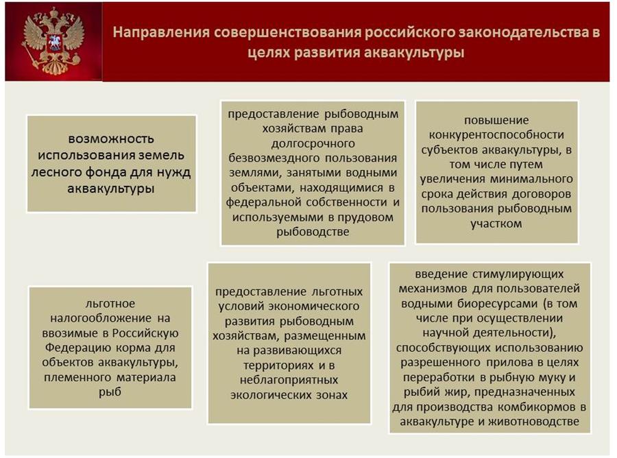 Владимир Кашин: Будущее за фермами на воде