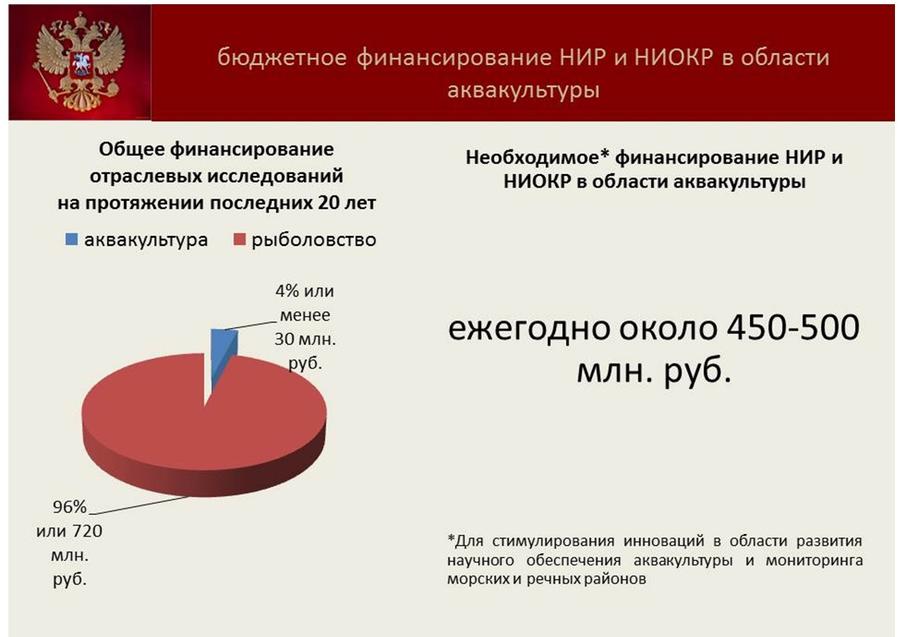 Владимир Кашин: Будущее за фермами на воде