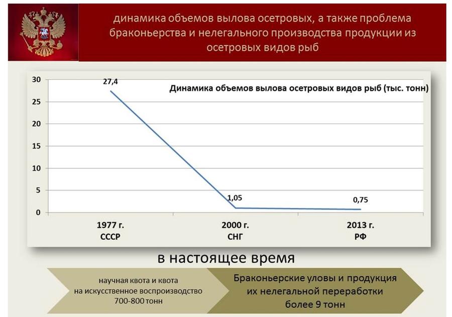 Владимир Кашин: Будущее за фермами на воде