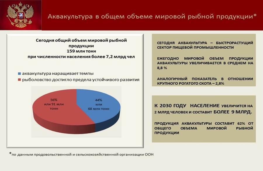Владимир Кашин: Будущее за фермами на воде