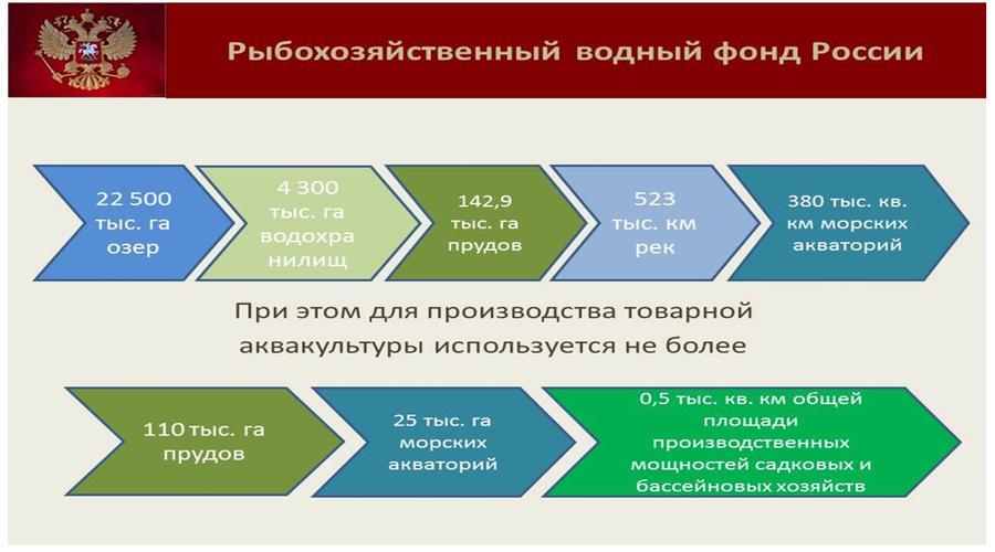 Владимир Кашин: Будущее за фермами на воде