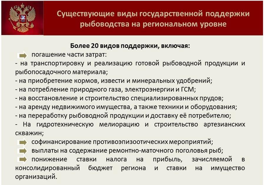 Владимир Кашин: Будущее за фермами на воде