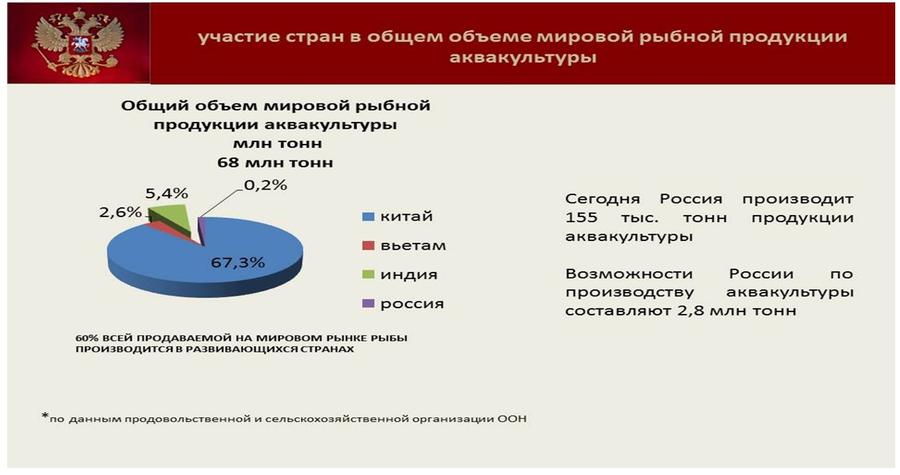 Владимир Кашин: Будущее за фермами на воде