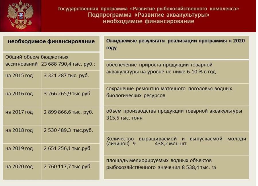 Владимир Кашин: Будущее за фермами на воде