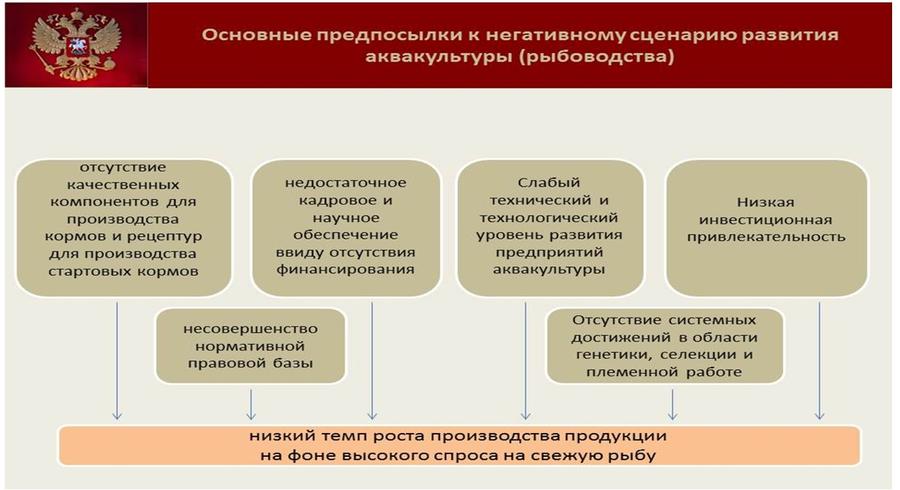 Владимир Кашин: Будущее за фермами на воде