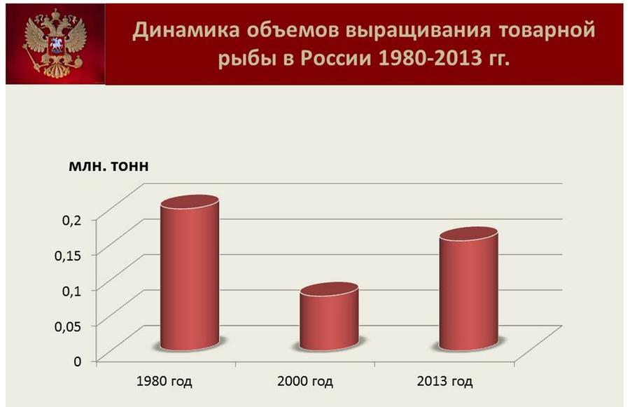 Владимир Кашин: Будущее за фермами на воде