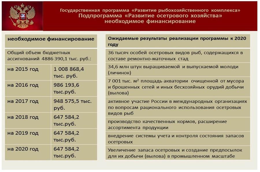 Владимир Кашин: Будущее за фермами на воде