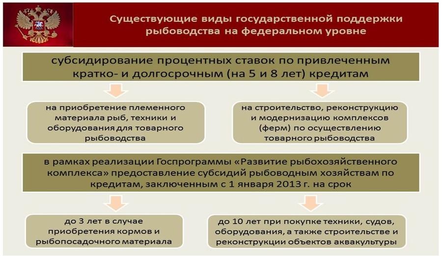 Владимир Кашин: Будущее за фермами на воде