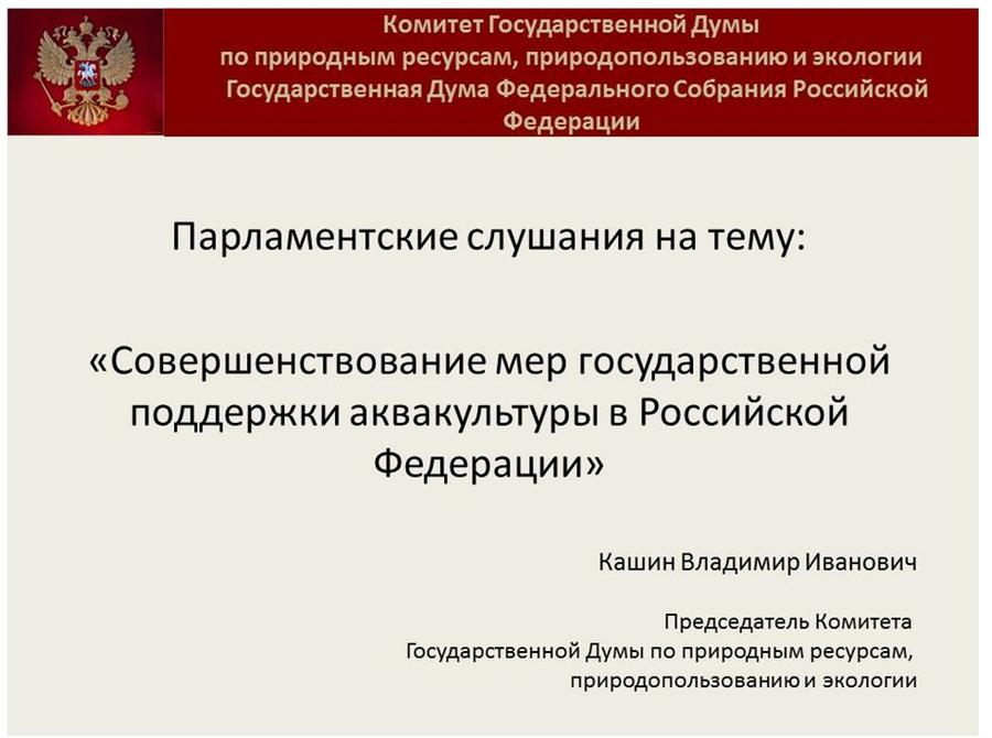 Владимир Кашин: Будущее за фермами на воде