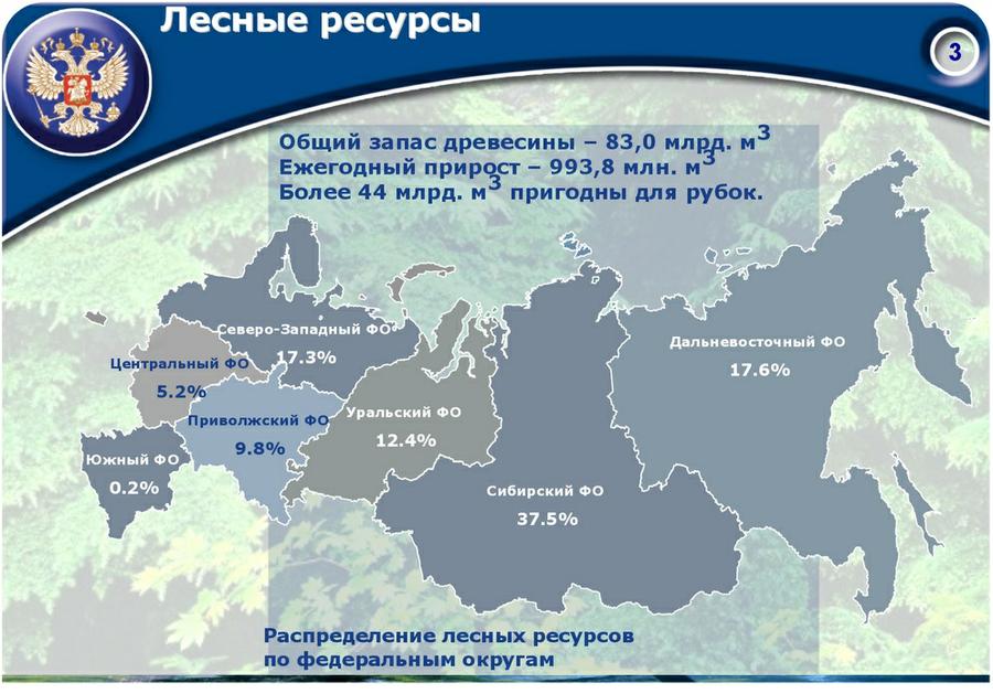 «Совершенствование лесного законодательства как ключевой фактор преодоления проблем лесного комплекса России»