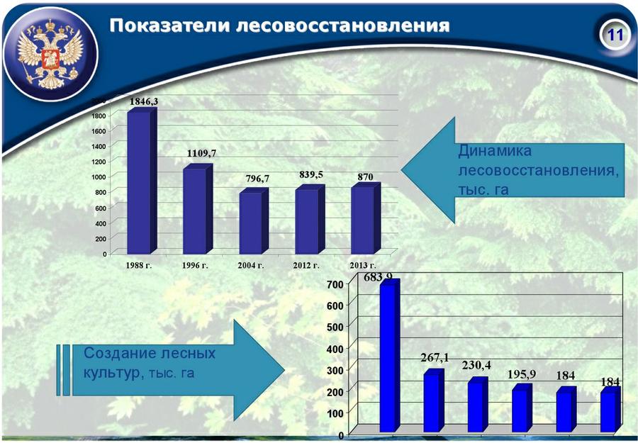 «Совершенствование лесного законодательства как ключевой фактор преодоления проблем лесного комплекса России»