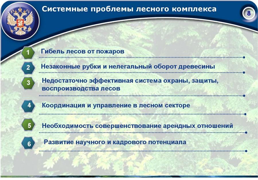 «Совершенствование лесного законодательства как ключевой фактор преодоления проблем лесного комплекса России»