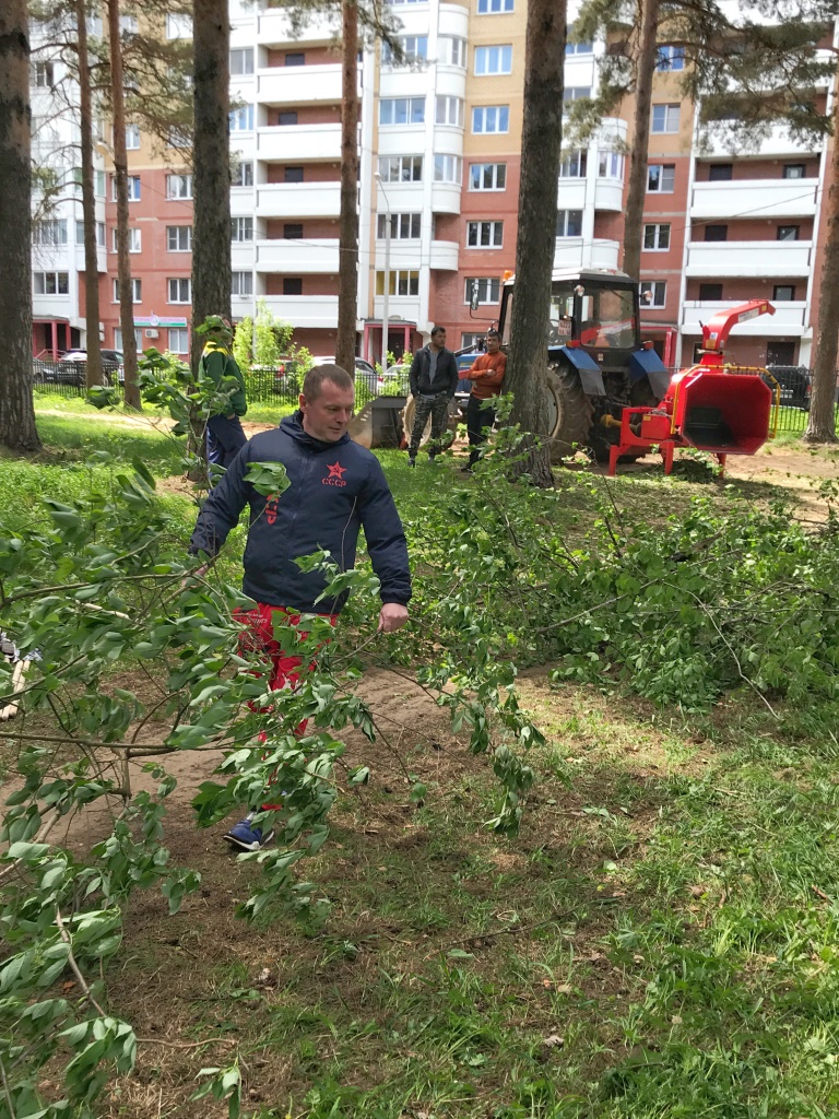 Субботник в городском парке