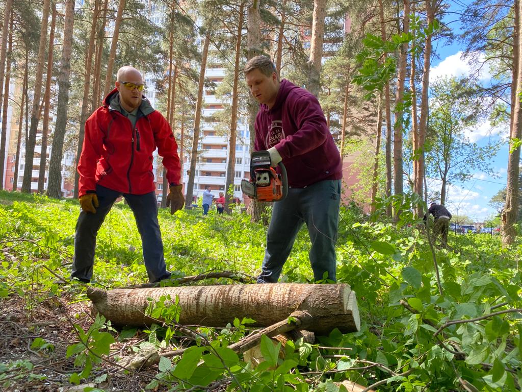 Субботник в городском парке