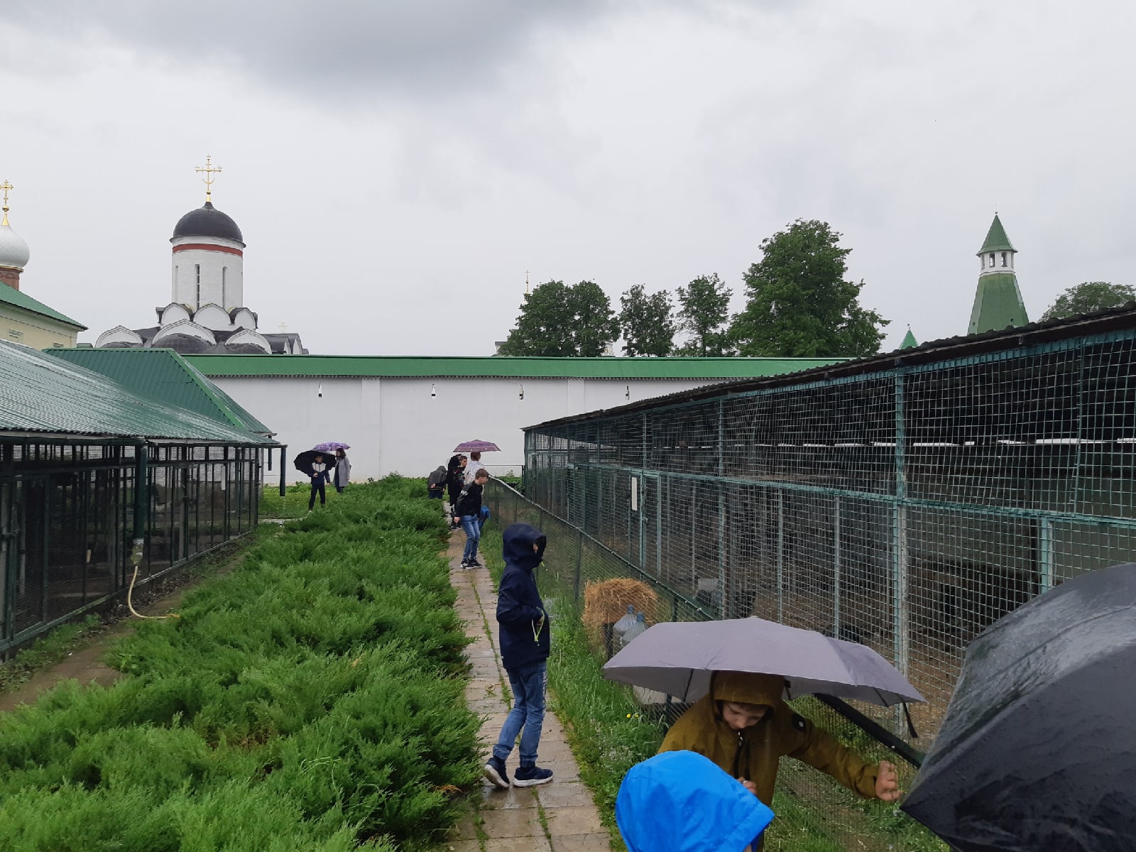 Экскурсия для детей