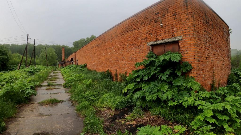 Под Коломной поселки утопают в вонючей жиже и борщевике