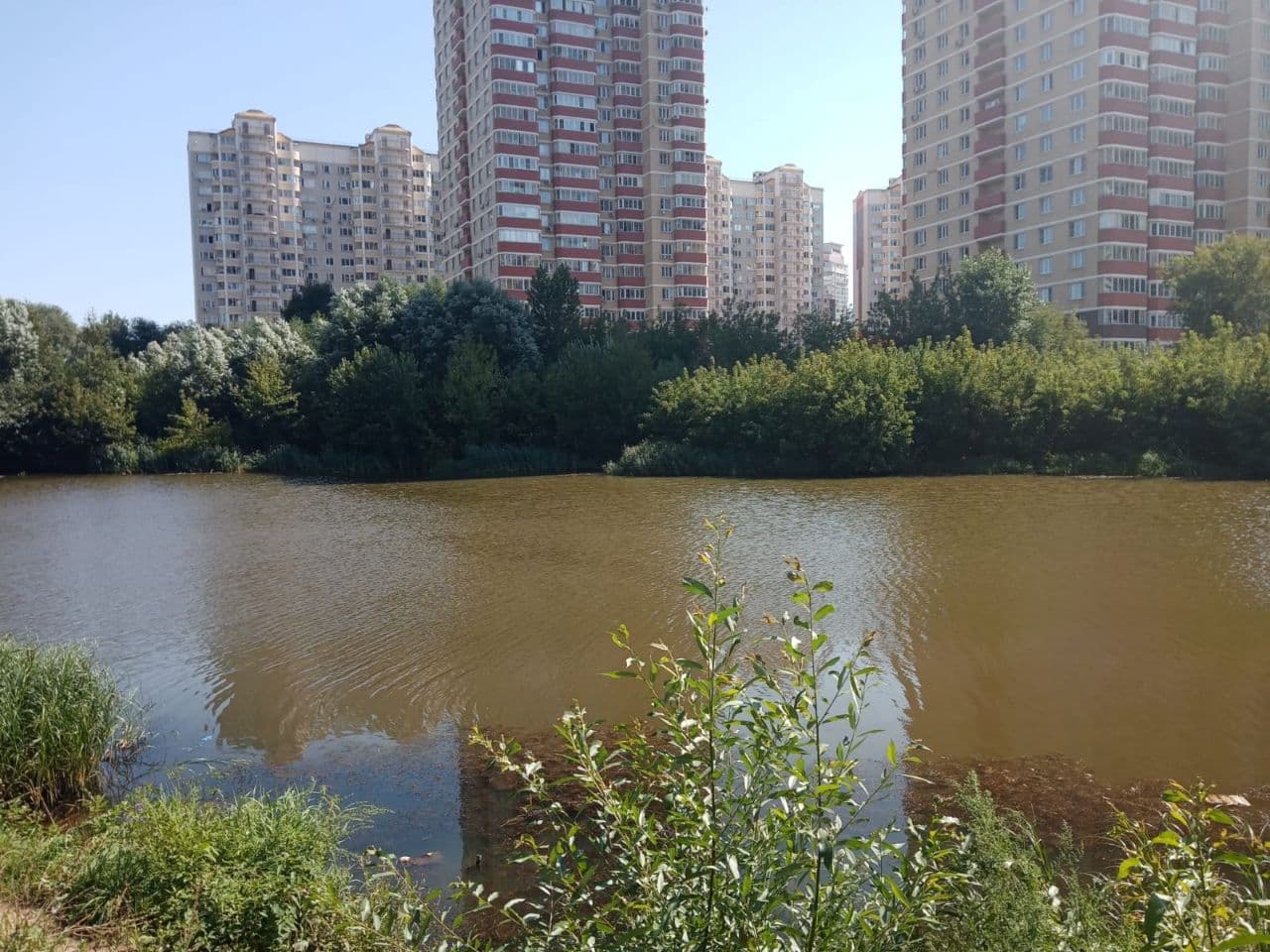 А может быть сначала стулья?