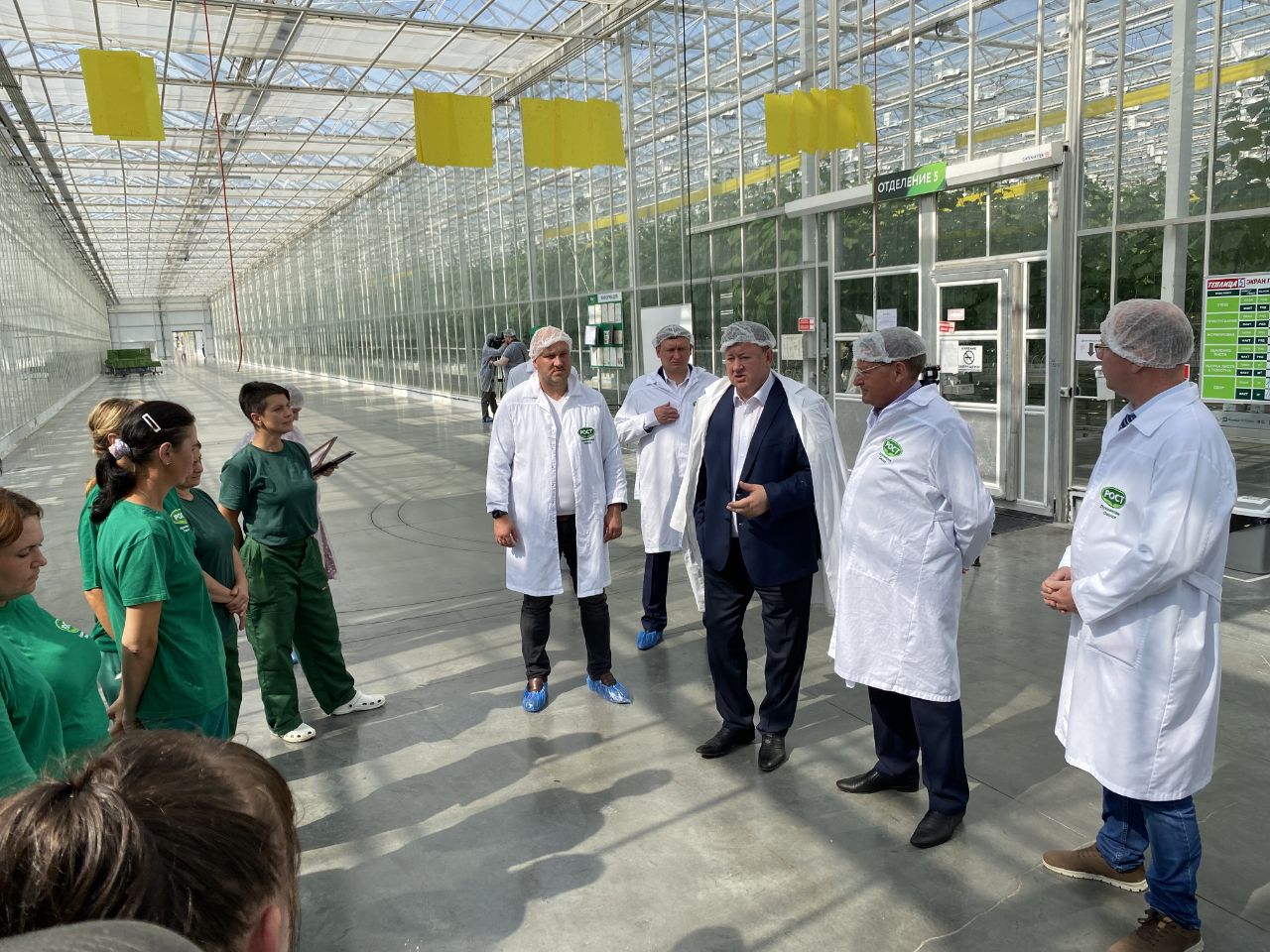 Выращено в Луховицах: урожайность огурцов с каждым годом увеличивается